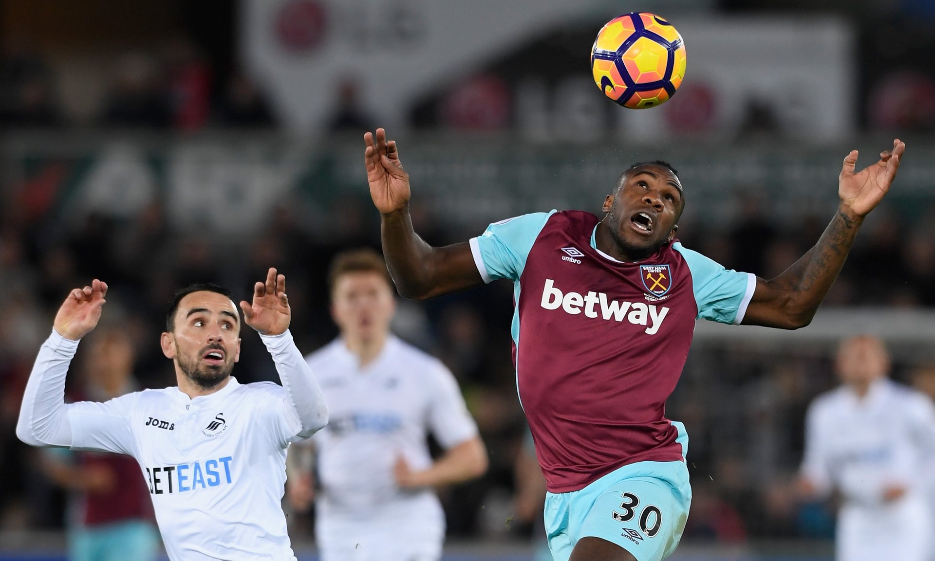 專業教練強 專業教練強