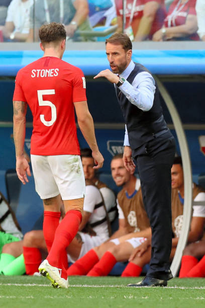 它还揭示了 它还揭示了