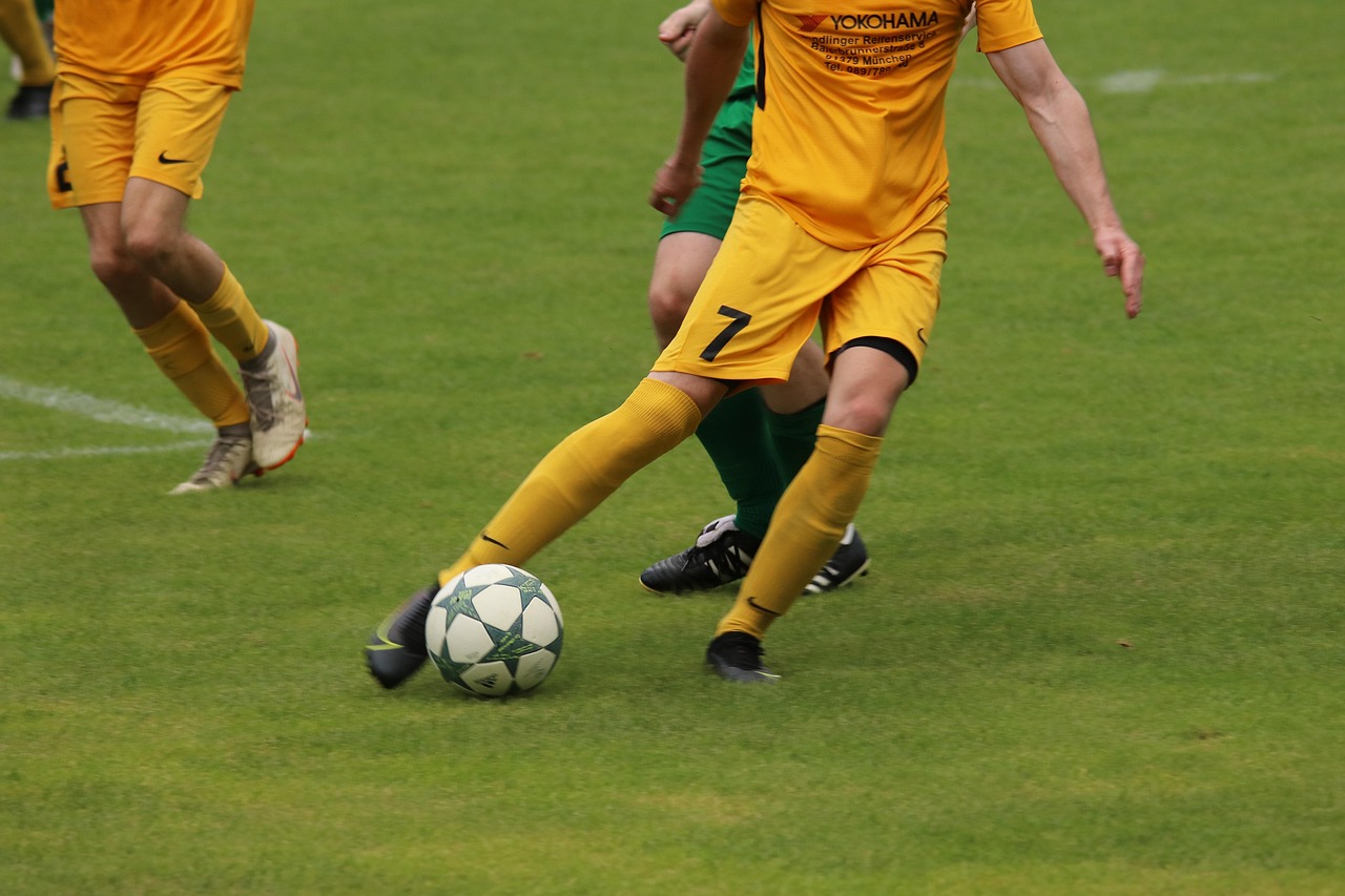 斯的可能复 斯的可能复